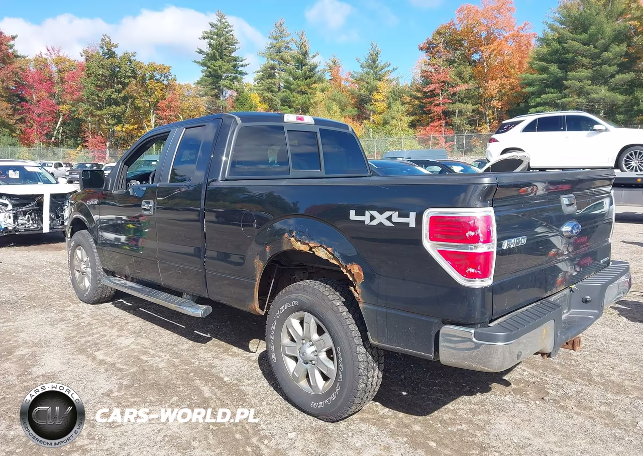 2013 Ford F-150 Xlt VIN:1FTFX1EF9DFC60733 - 3