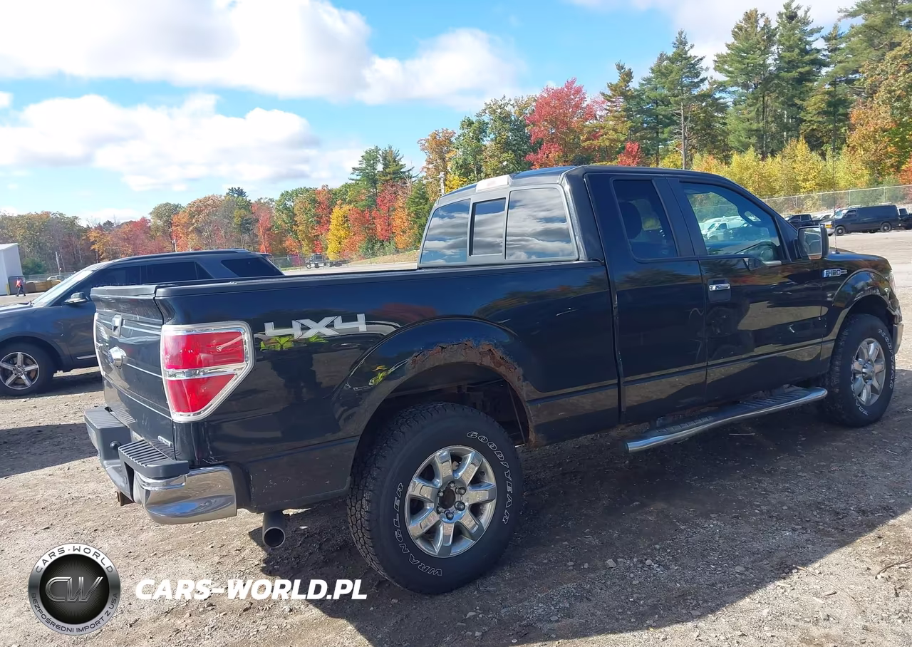 2013 Ford F-150 Xlt VIN:1FTFX1EF9DFC60733 - 4