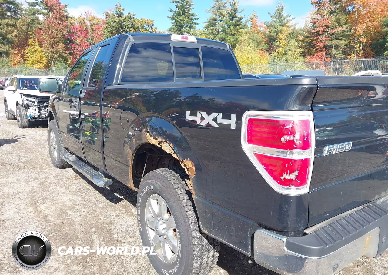 2013 Ford F-150 Xlt VIN:1FTFX1EF9DFC60733 - 6