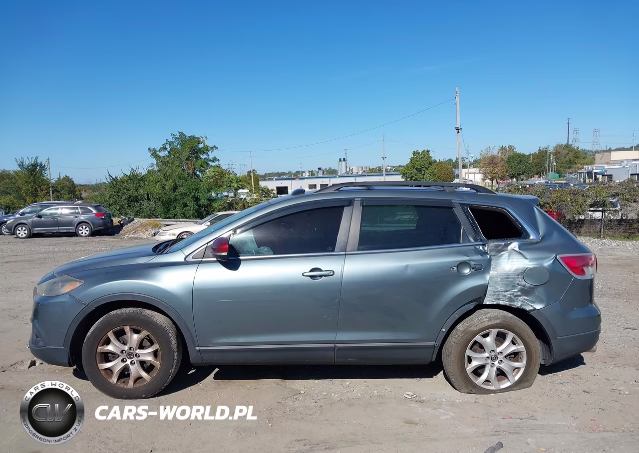 2013 Mazda Cx-9 Touring VIN:JM3TB3CV4D0416498 - 14
