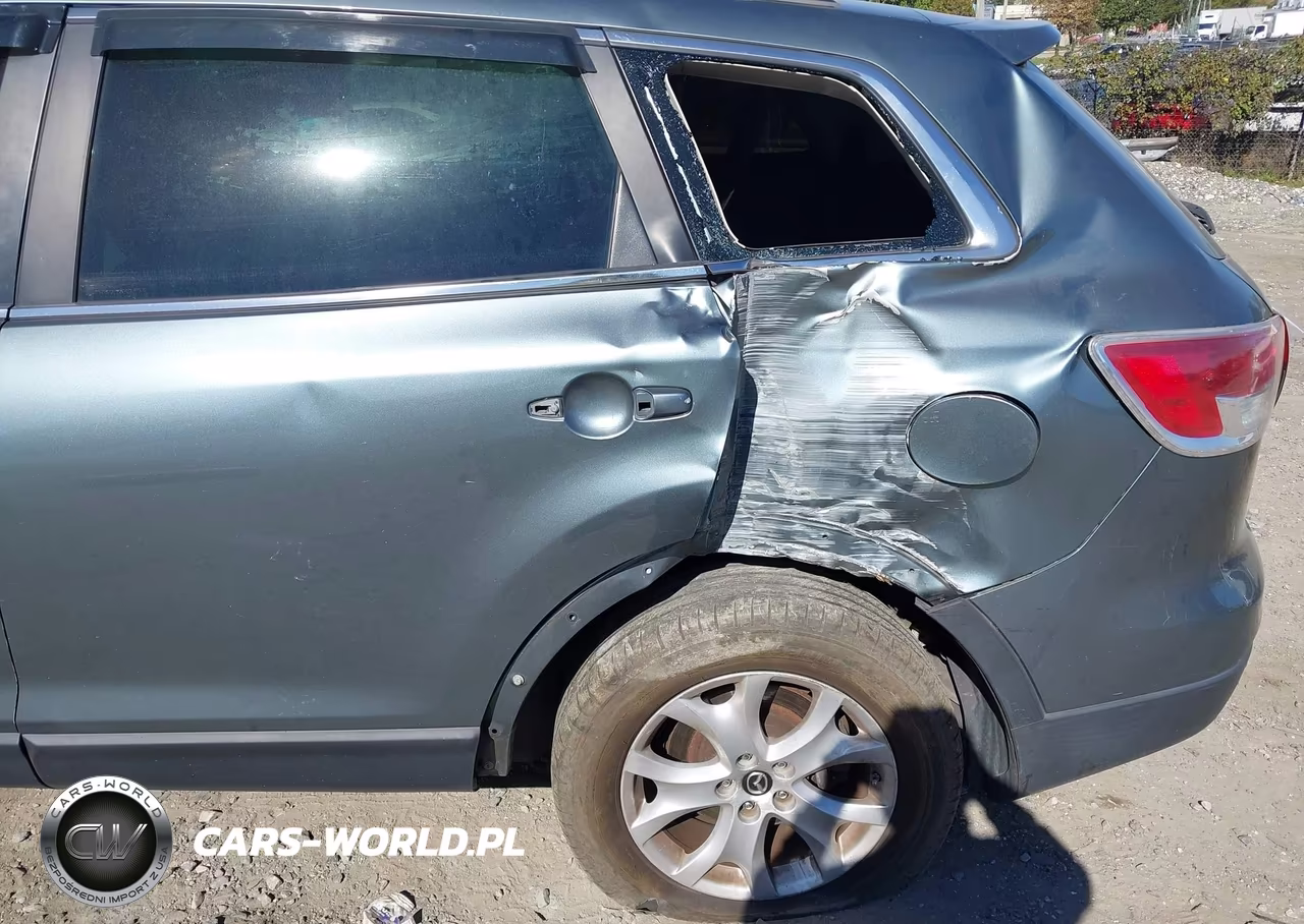 2013 Mazda Cx-9 Touring VIN:JM3TB3CV4D0416498 - 6