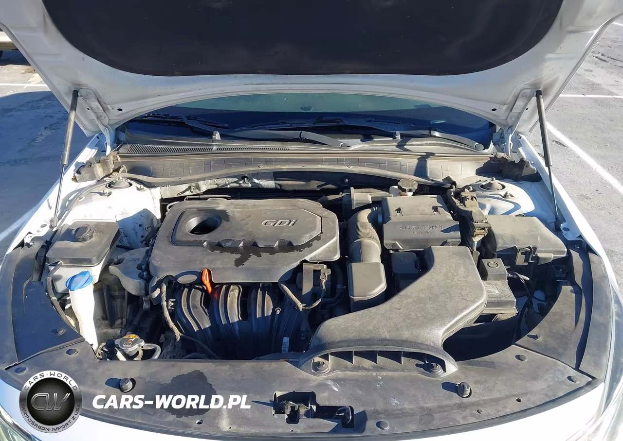 2019 Kia Optima Lx VIN:5XXGT4L38KG275314 - 10