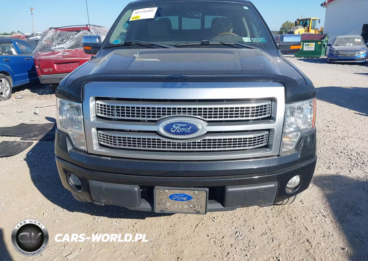 2010 Ford F-150 Fx4-Harley-Davidson-King Ranch-Lariat-Platinum-Xl-Xlt VIN:1FTFW1EV5AFB85616 - 12