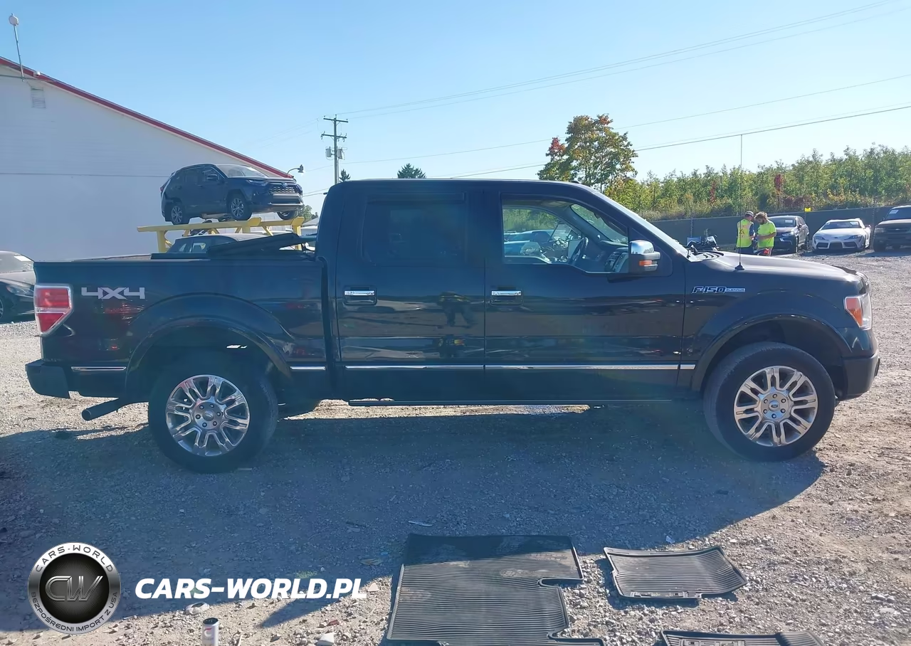2010 Ford F-150 Fx4-Harley-Davidson-King Ranch-Lariat-Platinum-Xl-Xlt VIN:1FTFW1EV5AFB85616 - 13