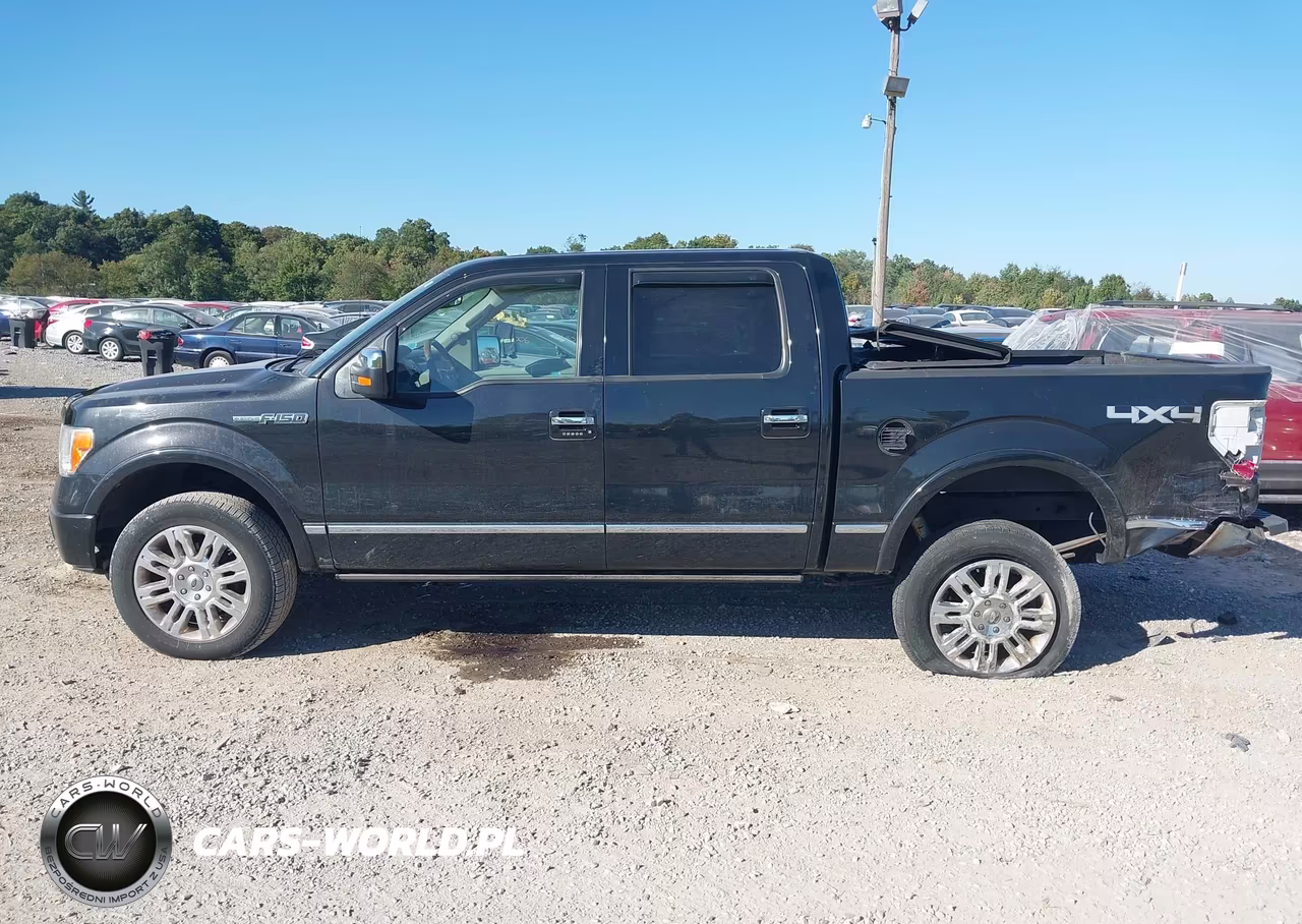 2010 Ford F-150 Fx4-Harley-Davidson-King Ranch-Lariat-Platinum-Xl-Xlt VIN:1FTFW1EV5AFB85616 - 14