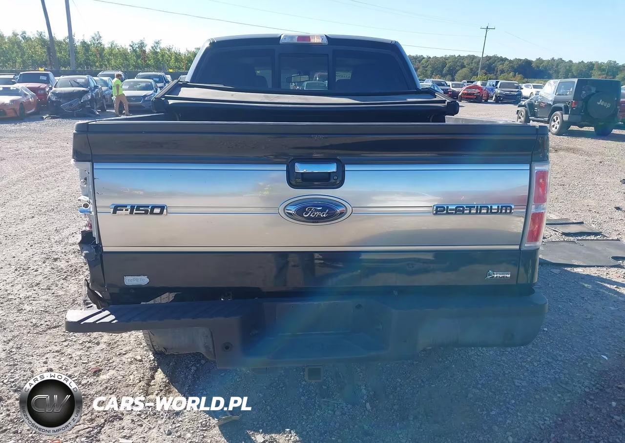 2010 Ford F-150 Fx4-Harley-Davidson-King Ranch-Lariat-Platinum-Xl-Xlt VIN:1FTFW1EV5AFB85616 - 16