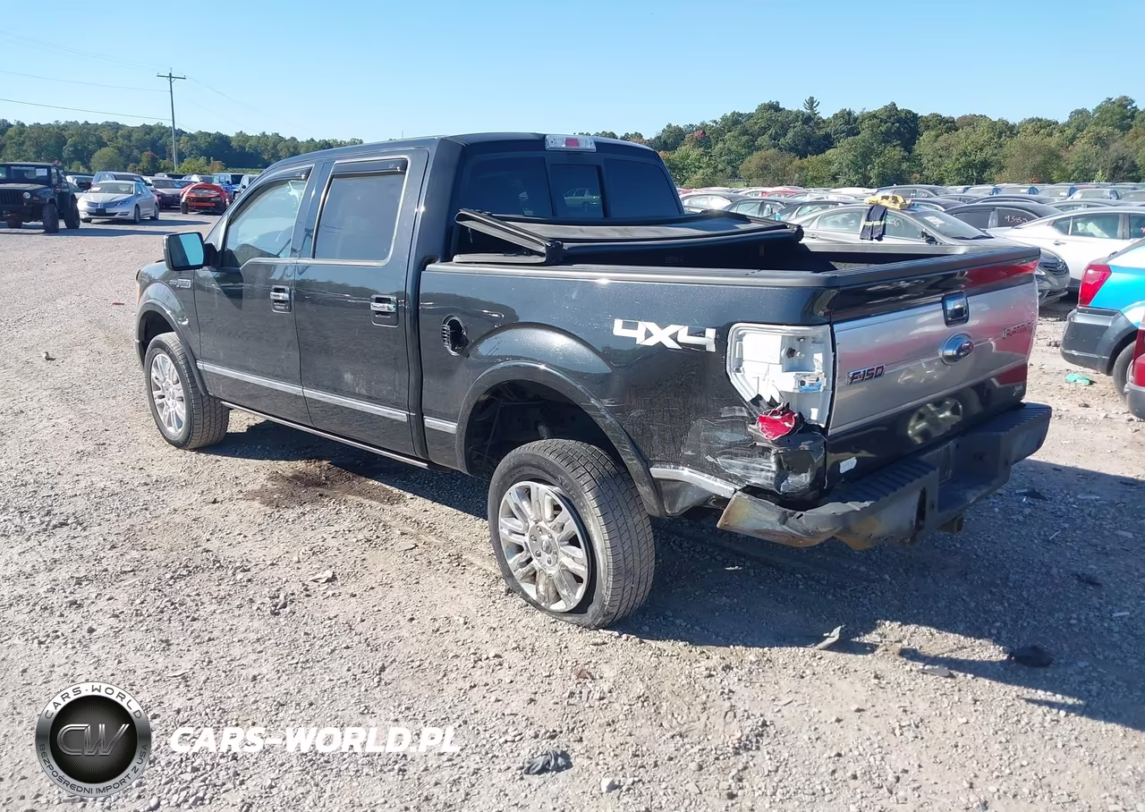 2010 Ford F-150 Fx4-Harley-Davidson-King Ranch-Lariat-Platinum-Xl-Xlt VIN:1FTFW1EV5AFB85616 - 3