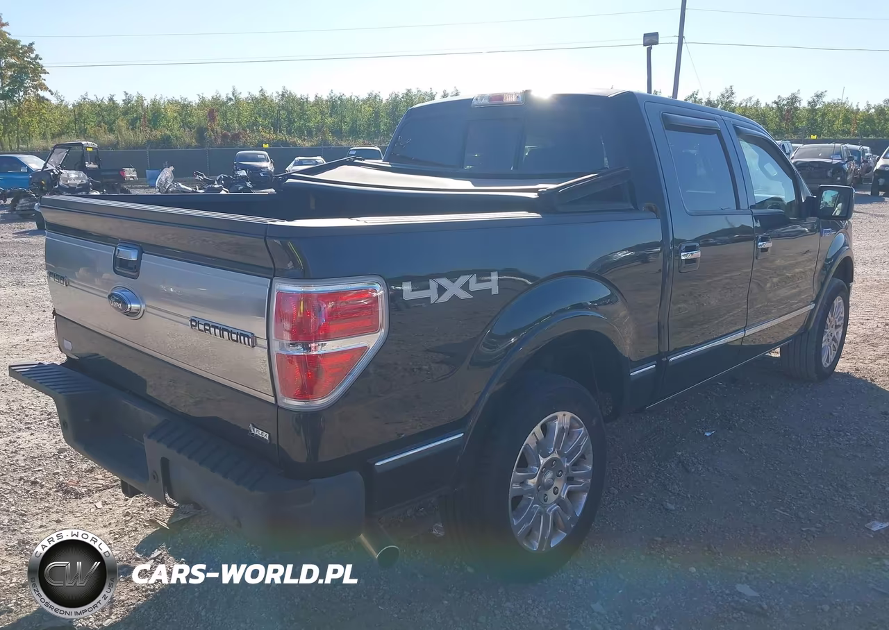 2010 Ford F-150 Fx4-Harley-Davidson-King Ranch-Lariat-Platinum-Xl-Xlt VIN:1FTFW1EV5AFB85616 - 4