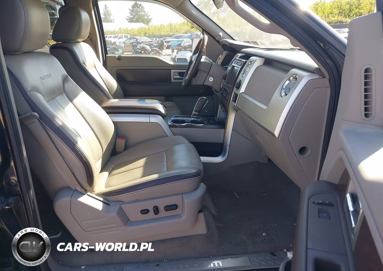 2010 Ford F-150 Fx4-Harley-Davidson-King Ranch-Lariat-Platinum-Xl-Xlt VIN:1FTFW1EV5AFB85616 - 5