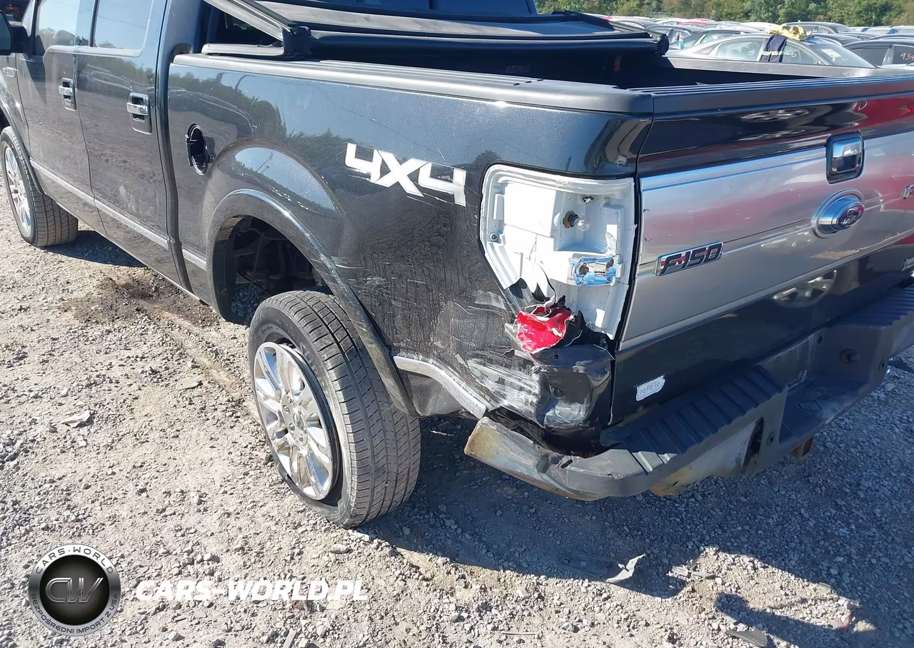 2010 Ford F-150 Fx4-Harley-Davidson-King Ranch-Lariat-Platinum-Xl-Xlt VIN:1FTFW1EV5AFB85616 - 6