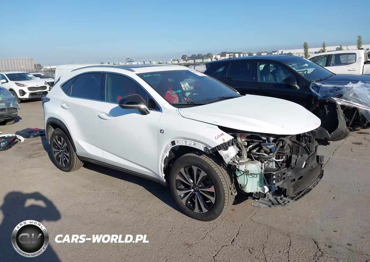 2019 Lexus Nx 300 F Sport