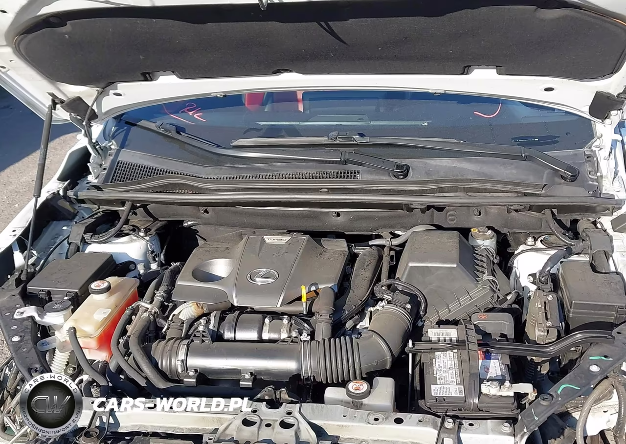2019 Lexus Nx 300 F Sport VIN:JTJBARBZ4K2209493 - 10