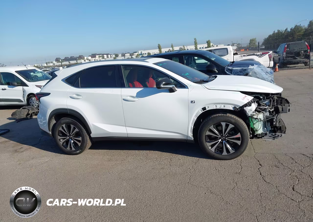 2019 Lexus Nx 300 F Sport VIN:JTJBARBZ4K2209493 - 14