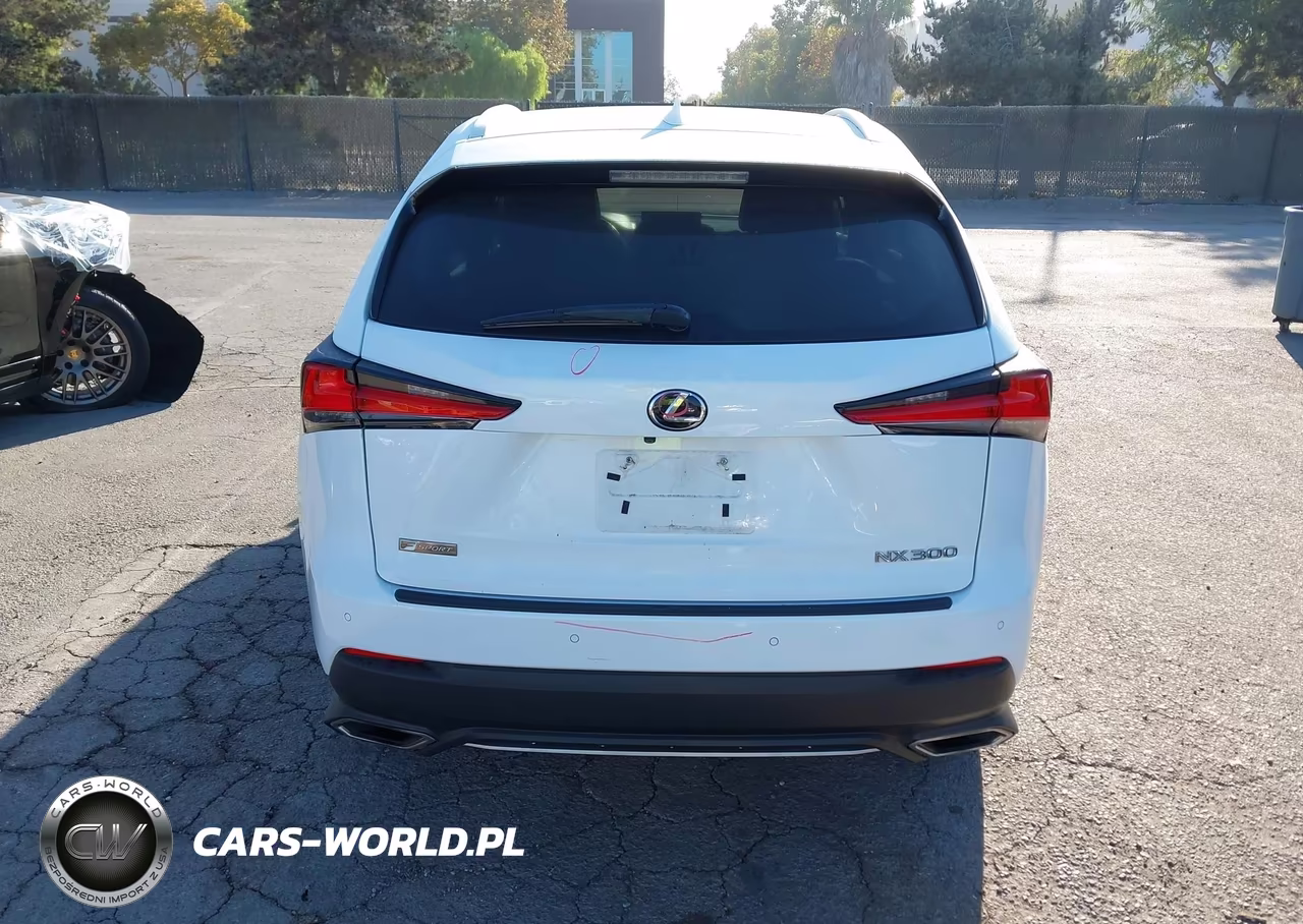 2019 Lexus Nx 300 F Sport VIN:JTJBARBZ4K2209493 - 17