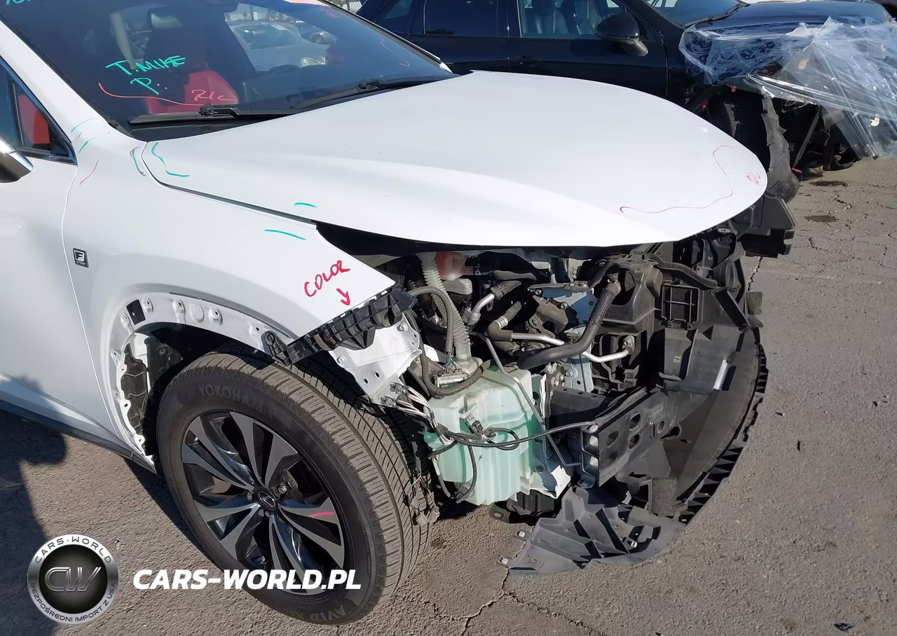2019 Lexus Nx 300 F Sport VIN:JTJBARBZ4K2209493 - 20