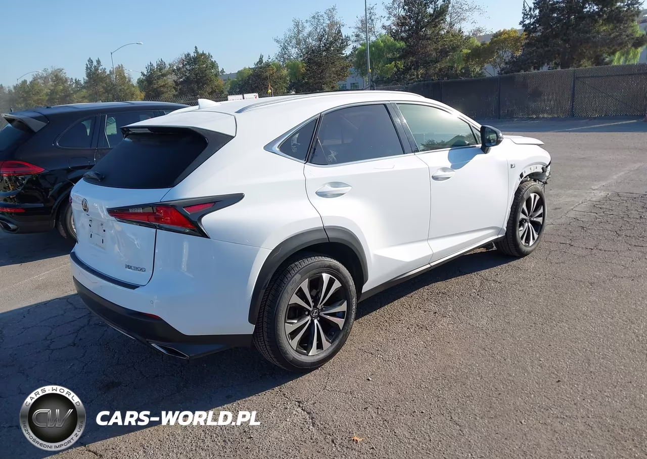2019 Lexus Nx 300 F Sport VIN:JTJBARBZ4K2209493 - 4