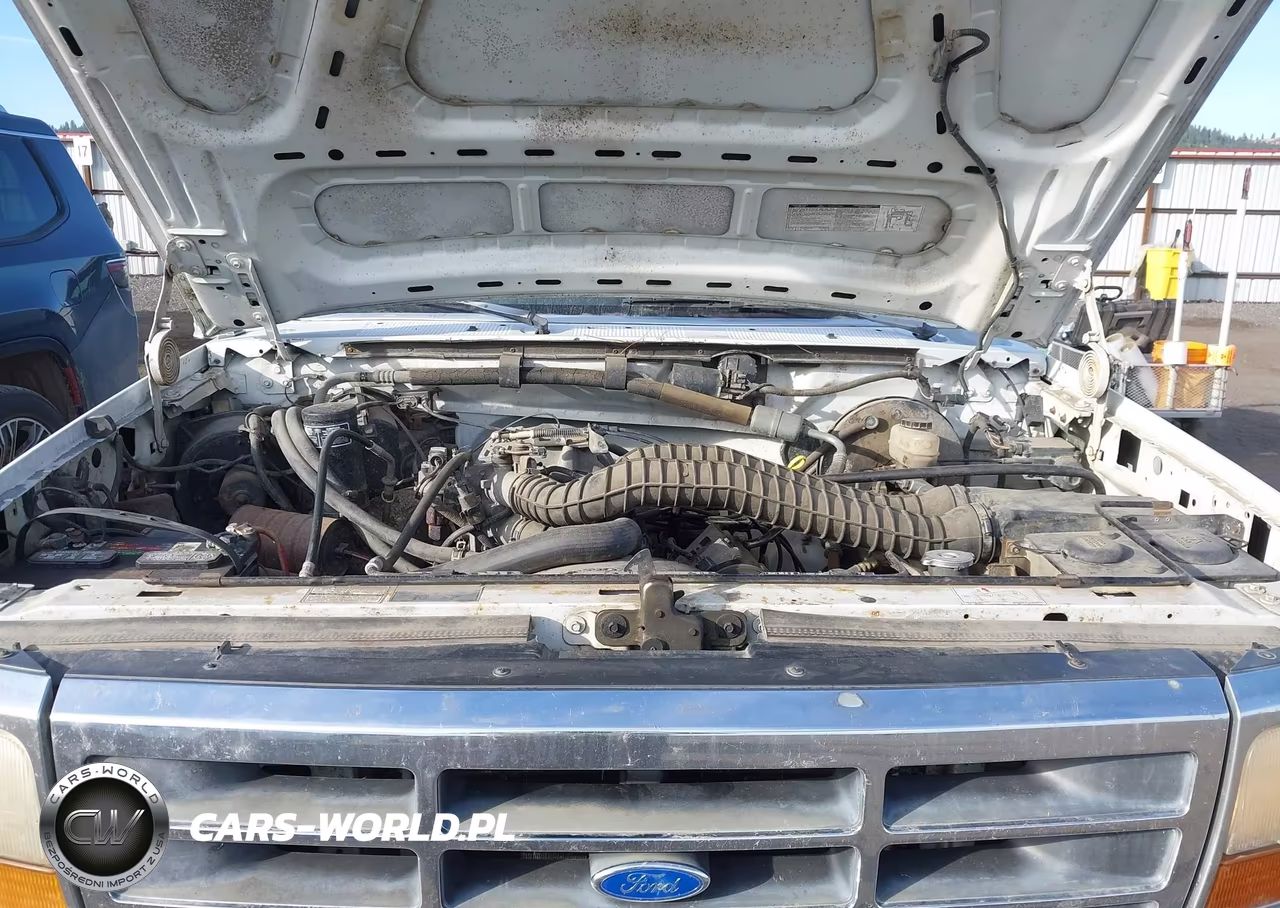 1993 Ford F150 VIN:1FTEX14N0PKB06962 - 10