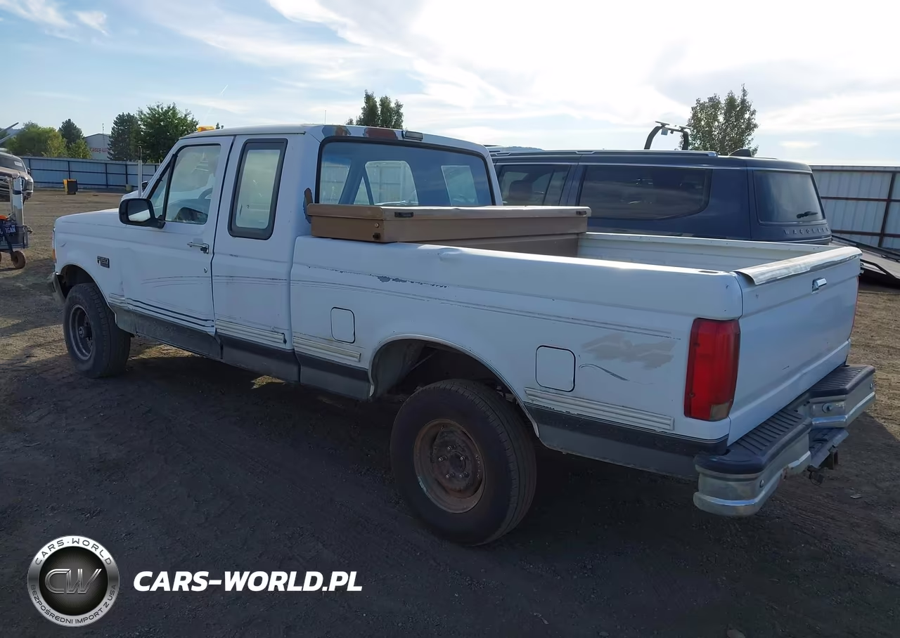 1993 Ford F150 VIN:1FTEX14N0PKB06962 - 3