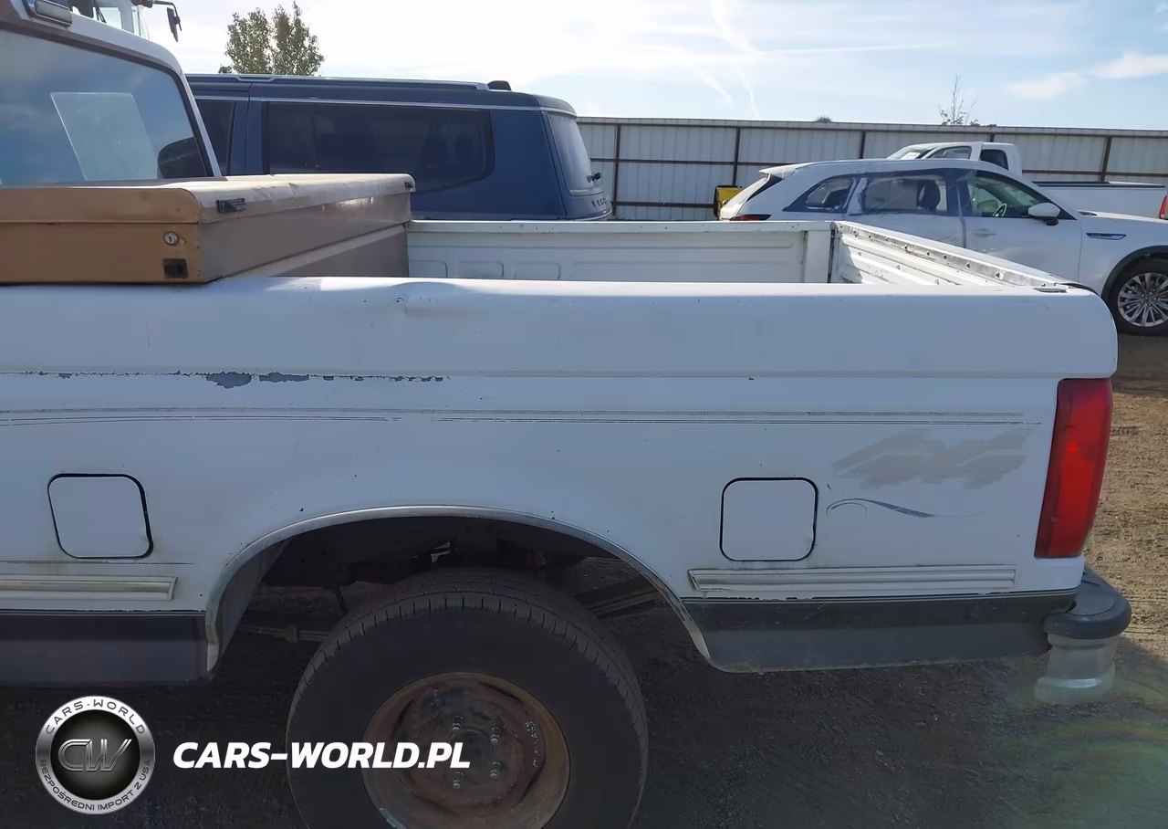 1993 Ford F150 VIN:1FTEX14N0PKB06962 - 6