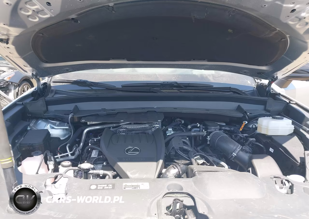 2025 Lexus Tx 500H F Sport Performance Luxury VIN:5TDABAB64SS010648 - 10