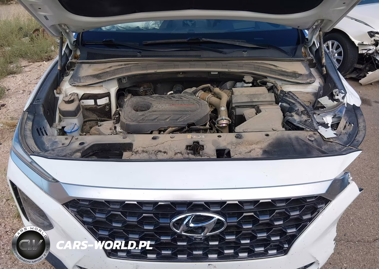 2019 Hyundai Santa Fe Ultimate 2.0T VIN:5NMS53AA4KH088282 - 10