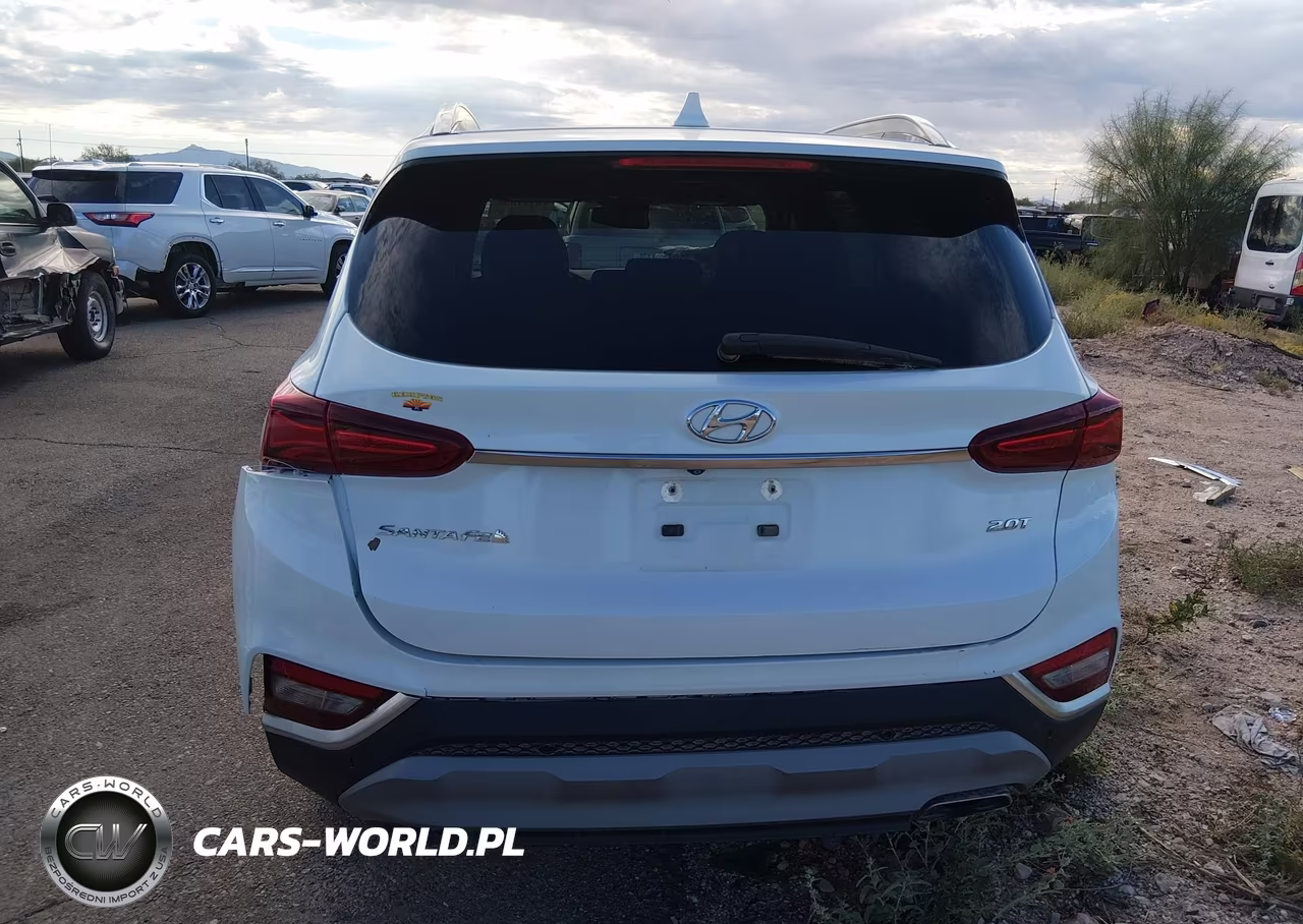 2019 Hyundai Santa Fe Ultimate 2.0T VIN:5NMS53AA4KH088282 - 16