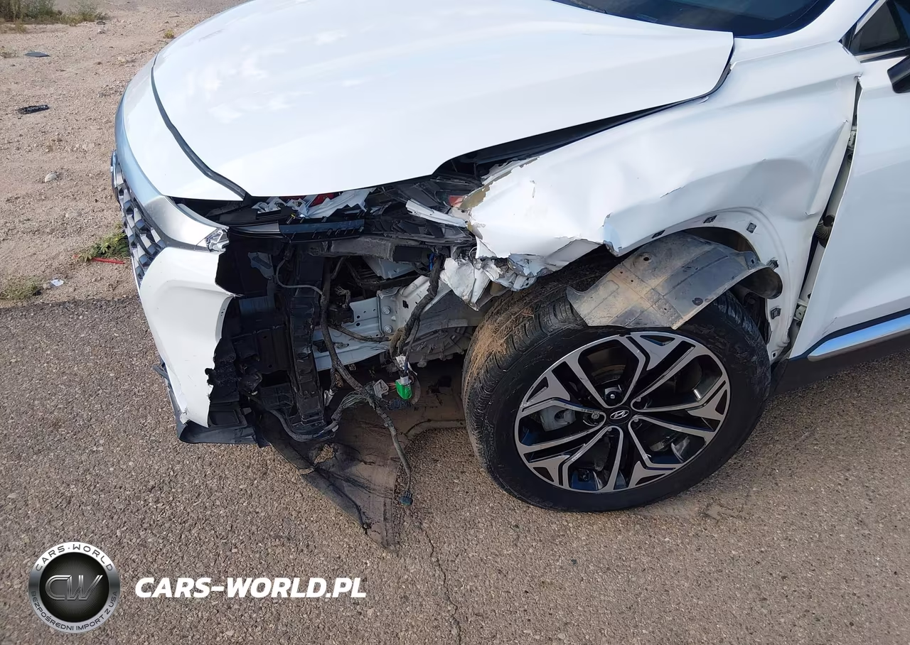 2019 Hyundai Santa Fe Ultimate 2.0T VIN:5NMS53AA4KH088282 - 6