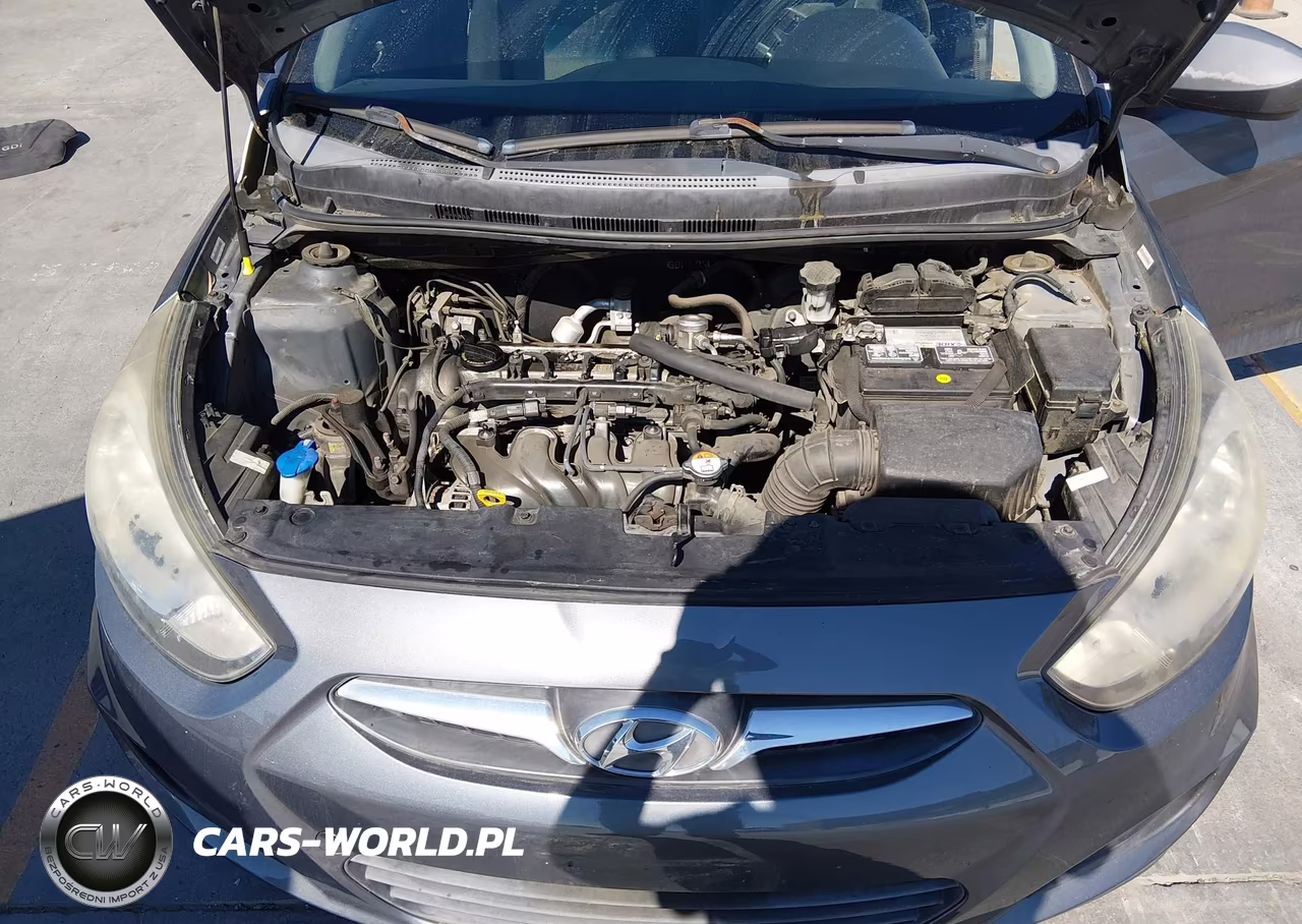2012 Hyundai Accent Gs VIN:KMHCT5AE1CU046229 - 10