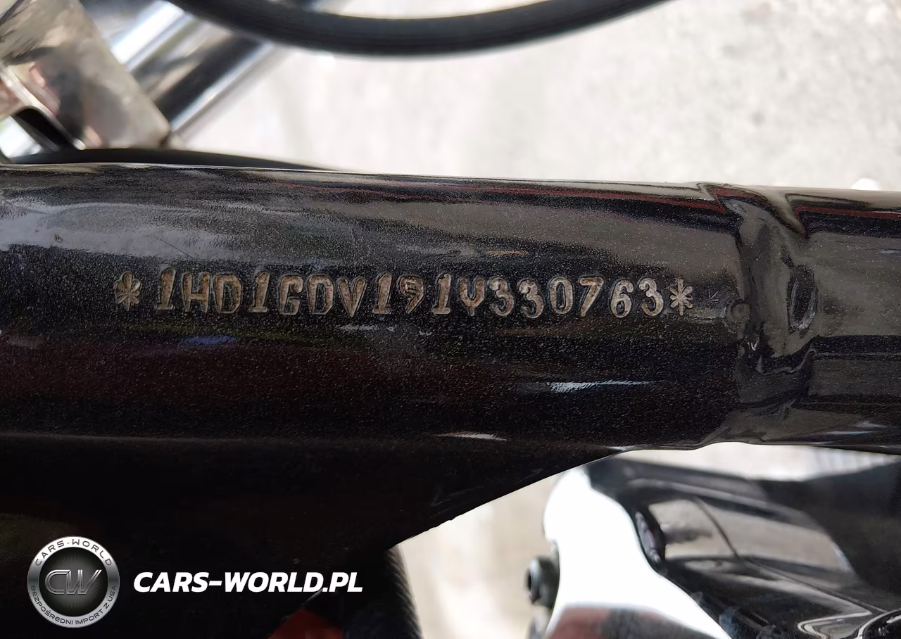 2001 Harley-Davidson Fxdl VIN:1HD1GDV191Y330763 - 10
