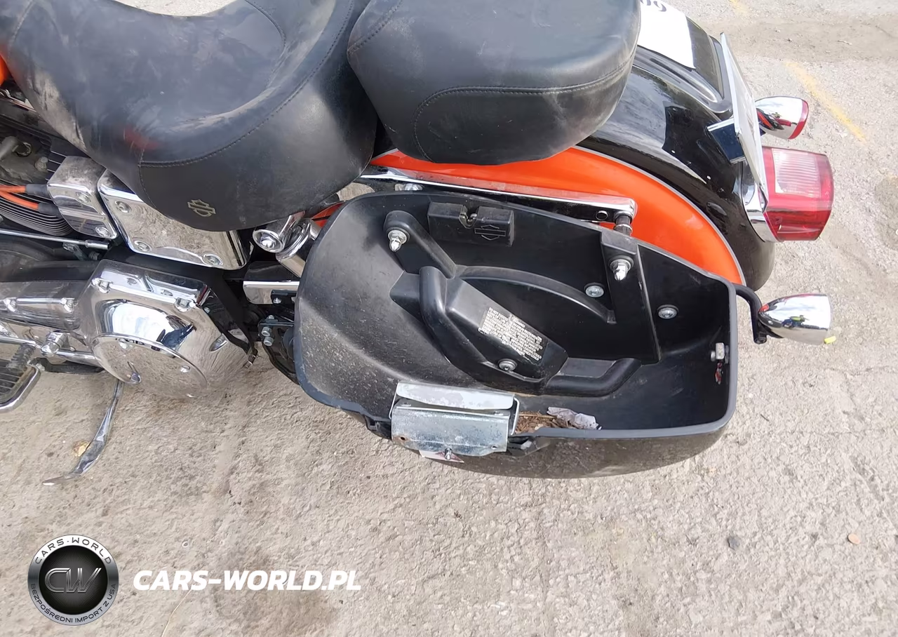 2001 Harley-Davidson Fxdl VIN:1HD1GDV191Y330763 - 14