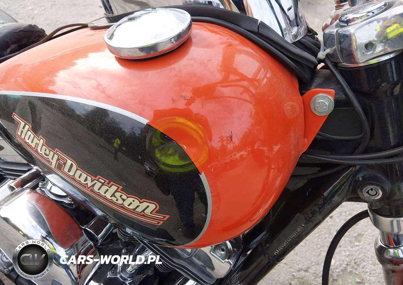 2001 Harley-Davidson Fxdl VIN:1HD1GDV191Y330763 - 15