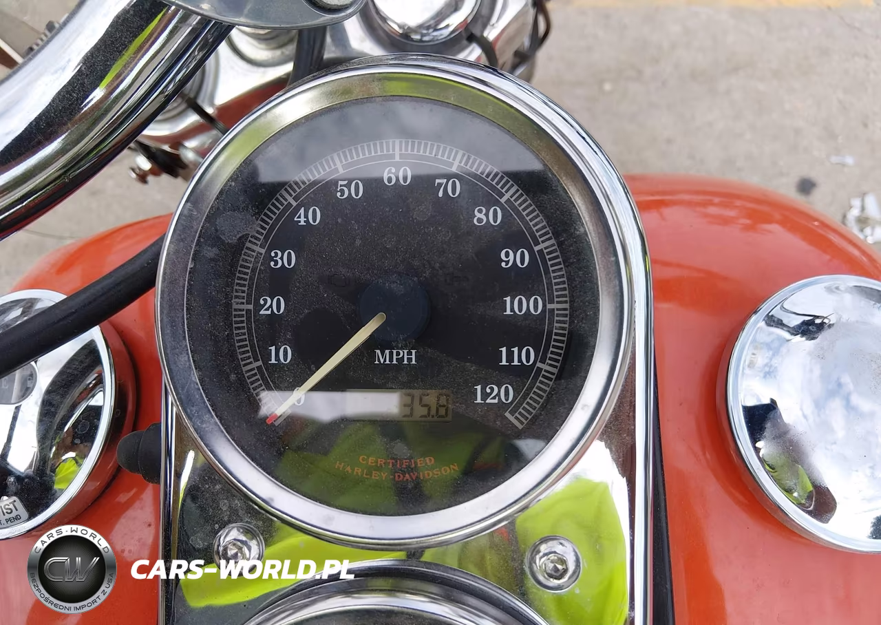 2001 Harley-Davidson Fxdl VIN:1HD1GDV191Y330763 - 7