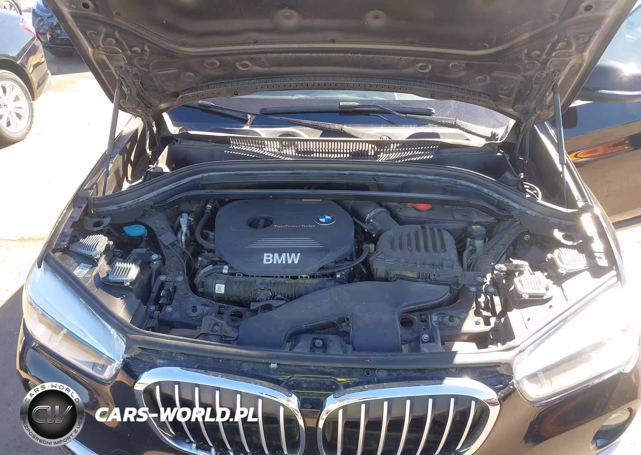 2017 BMW X1 Sdrive28I VIN:WBXHU7C31H5H38738 - 10