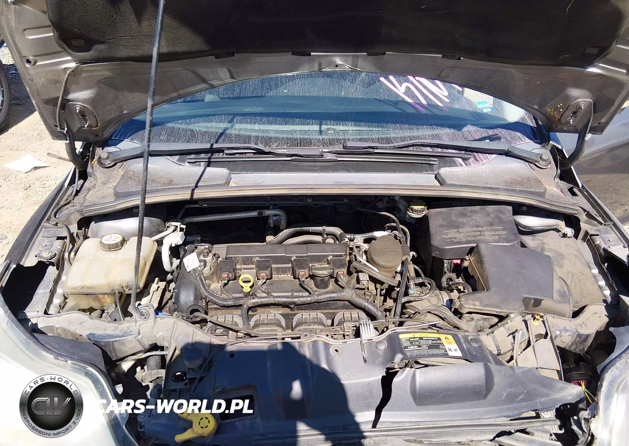 2013 Ford Focus Se VIN:1FADP3K20DL318966 - 10