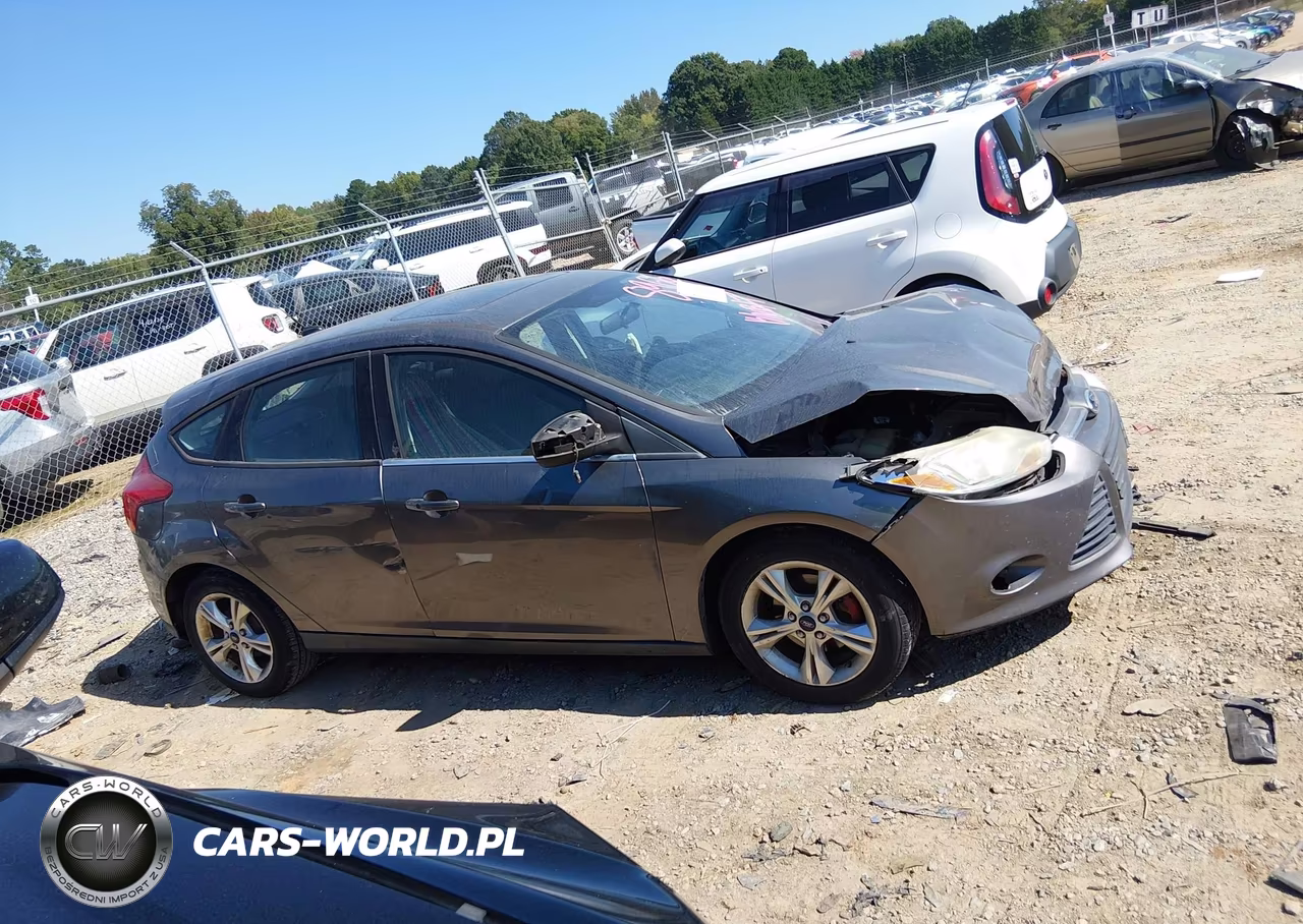 2013 Ford Focus Se VIN:1FADP3K20DL318966 - 13