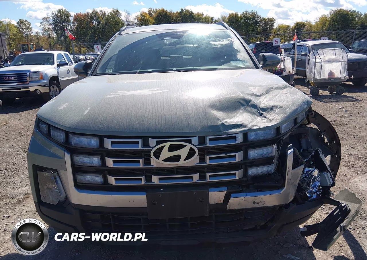 2025 Hyundai Santa Cruz Sel VIN:5NTJBDDE1SH132509 - 12