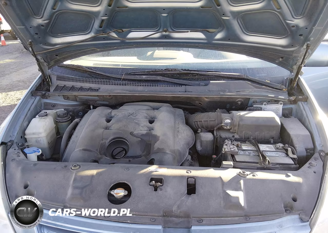 2009 Kia Sedona Lx VIN:KNDMB233196313792 - 10