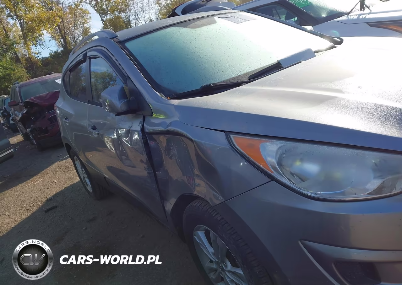 2010 Hyundai Tucson Gls VIN:KM8JU3AC4AU037819 - 13