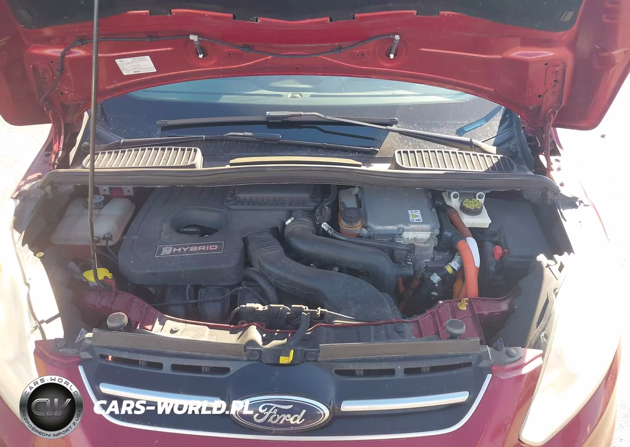 2013 Ford C-Max Hybrid Sel VIN:1FADP5BU5DL513264 - 10