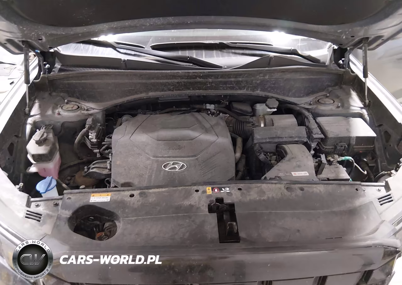 2025 Hyundai Palisade Sel VIN:KM8R2DGE0SU889822 - 10
