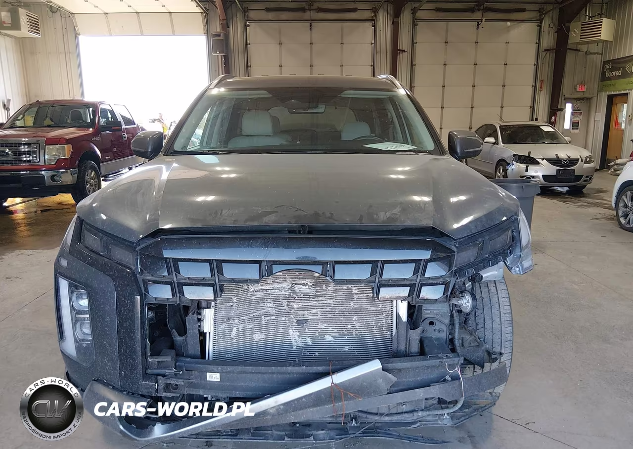 2025 Hyundai Palisade Sel VIN:KM8R2DGE0SU889822 - 13