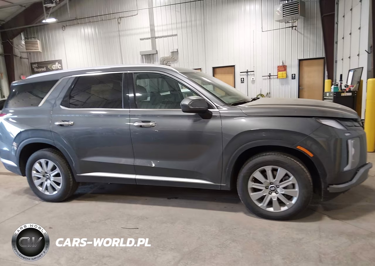 2025 Hyundai Palisade Sel VIN:KM8R2DGE0SU889822 - 14