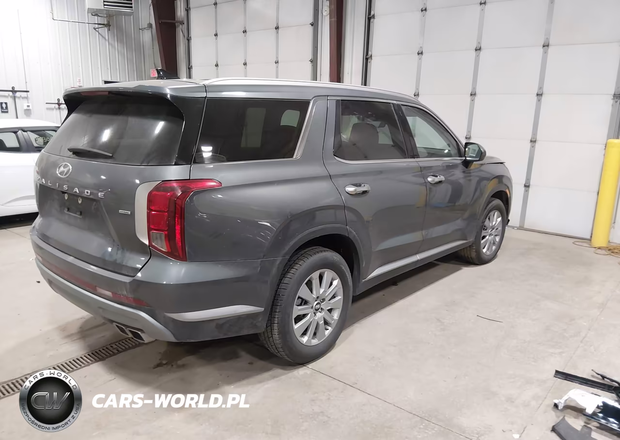 2025 Hyundai Palisade Sel VIN:KM8R2DGE0SU889822 - 4