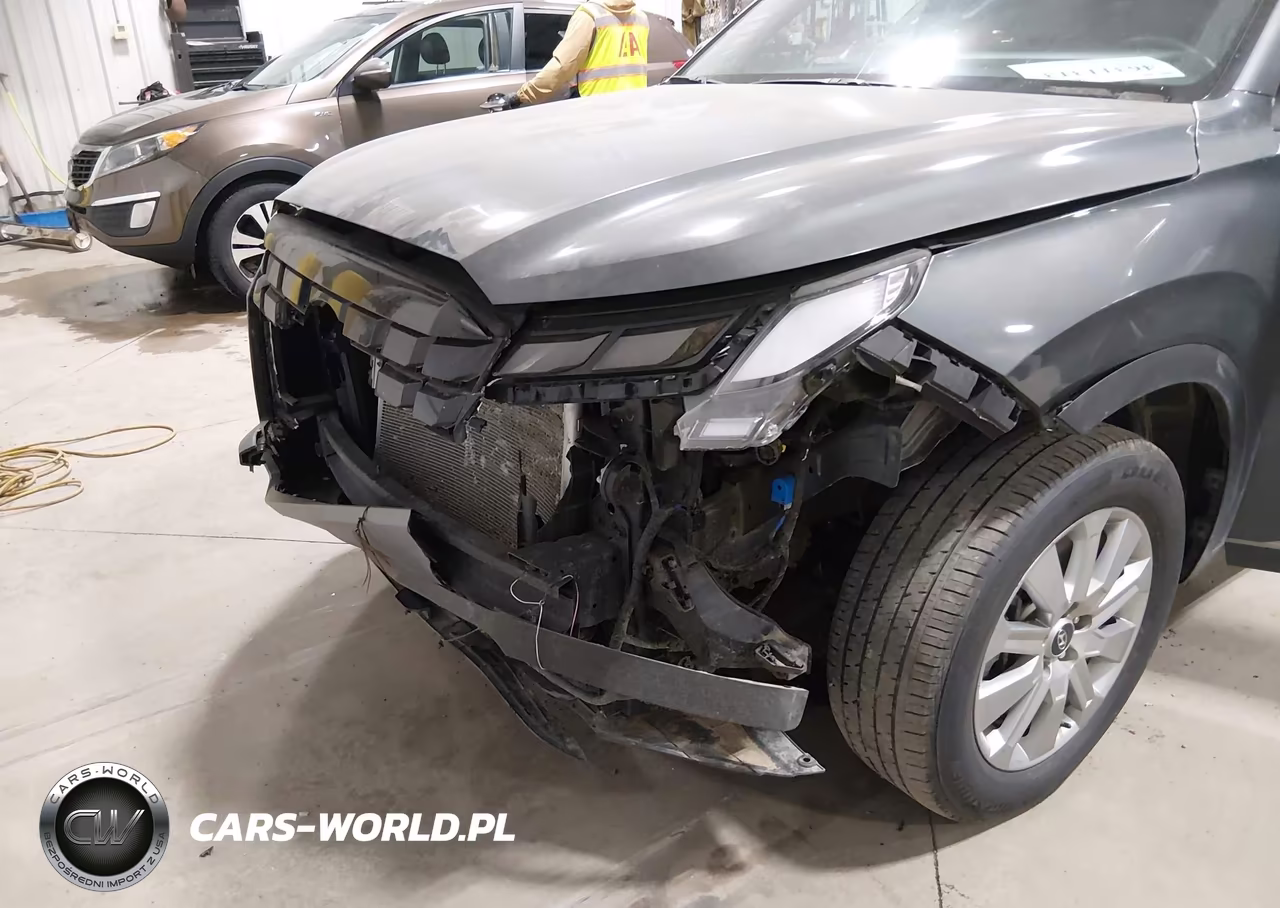 2025 Hyundai Palisade Sel VIN:KM8R2DGE0SU889822 - 6