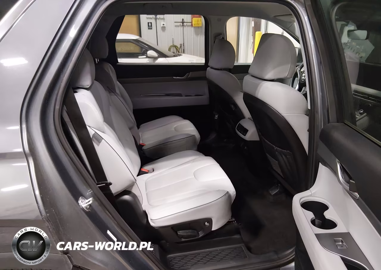 2025 Hyundai Palisade Sel VIN:KM8R2DGE0SU889822 - 8