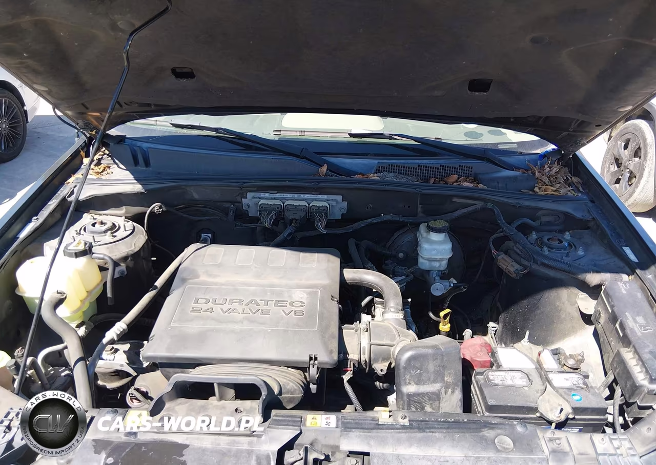 2009 Ford Escape Xlt VIN:1FMCU03G09KB70947 - 10