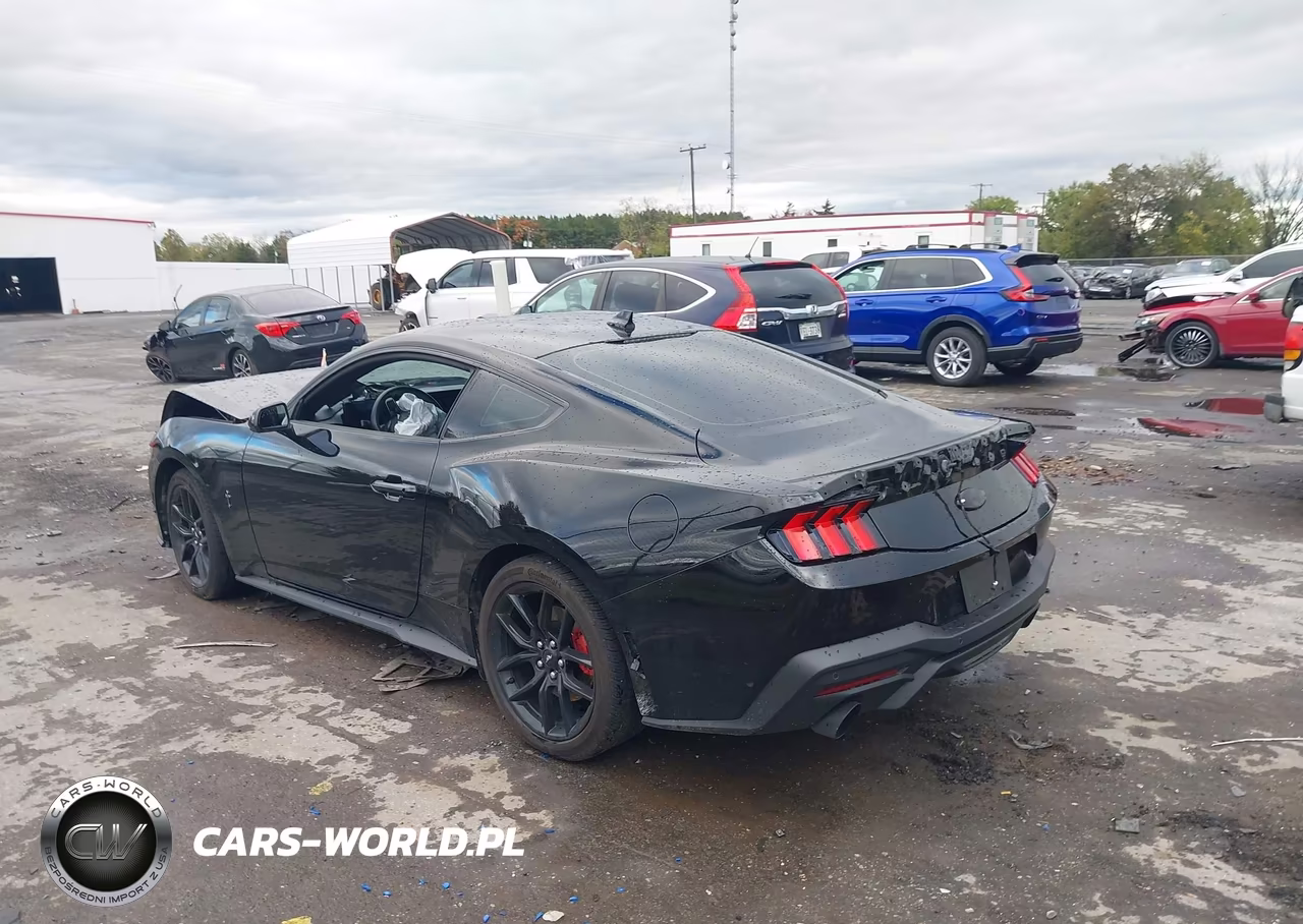 2025 Ford Mustang Ecoboost Fastback VIN:1FA6P8TH2S5121565 - 3