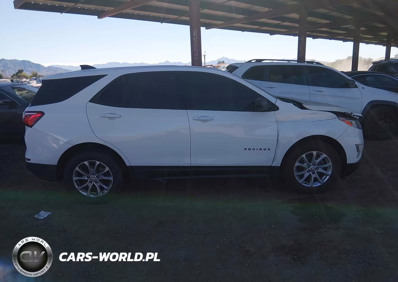 2019 Chevrolet Equinox Ls VIN:2GNAXSEV1K6191414 - 13