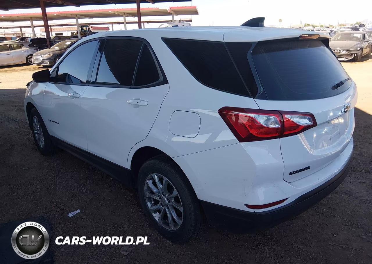2019 Chevrolet Equinox Ls VIN:2GNAXSEV1K6191414 - 3