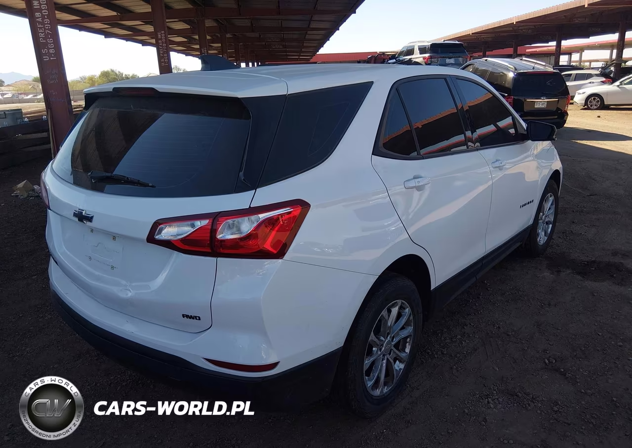 2019 Chevrolet Equinox Ls VIN:2GNAXSEV1K6191414 - 4